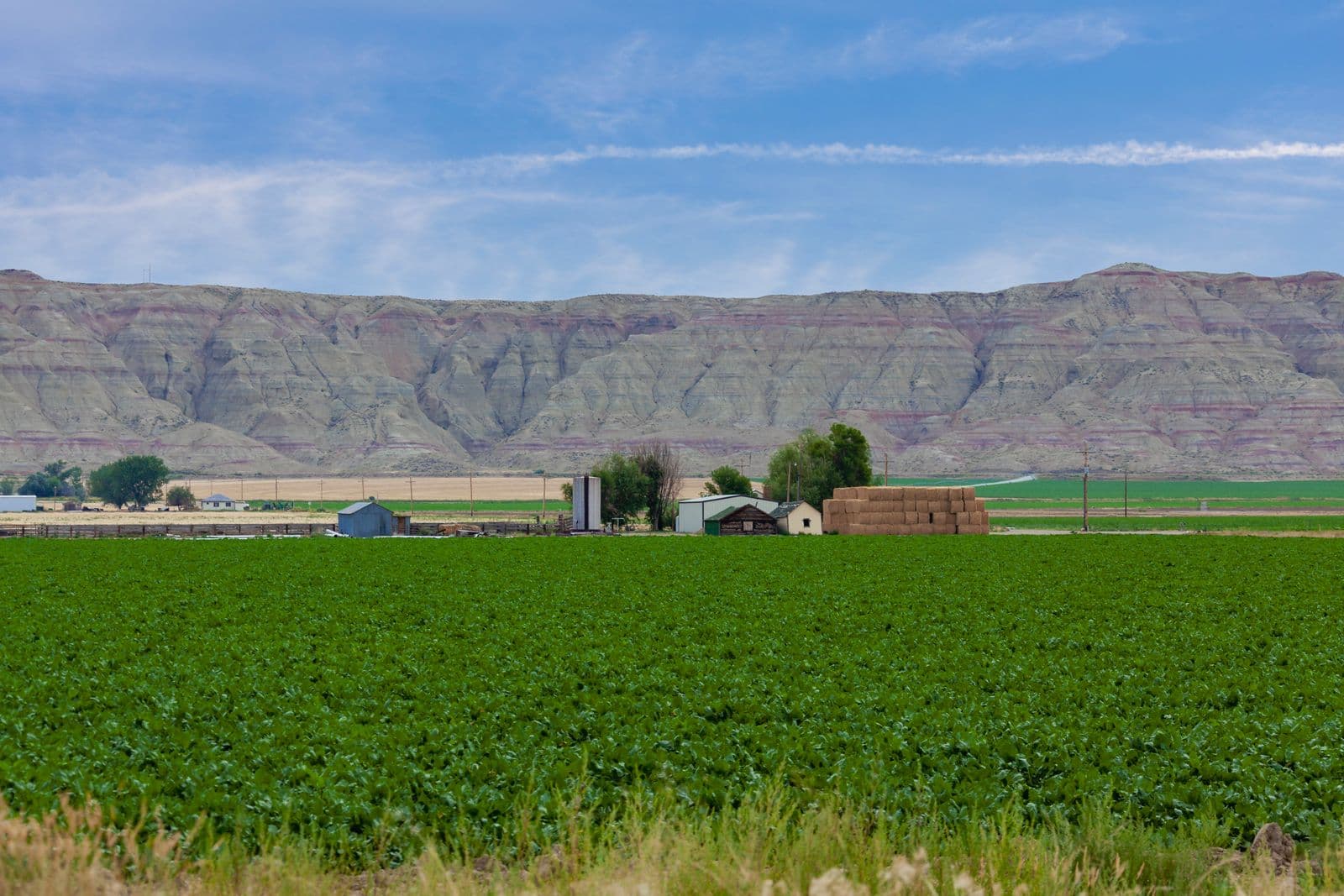 Montana farmland and agricultural buildings beneath a wide blue sky